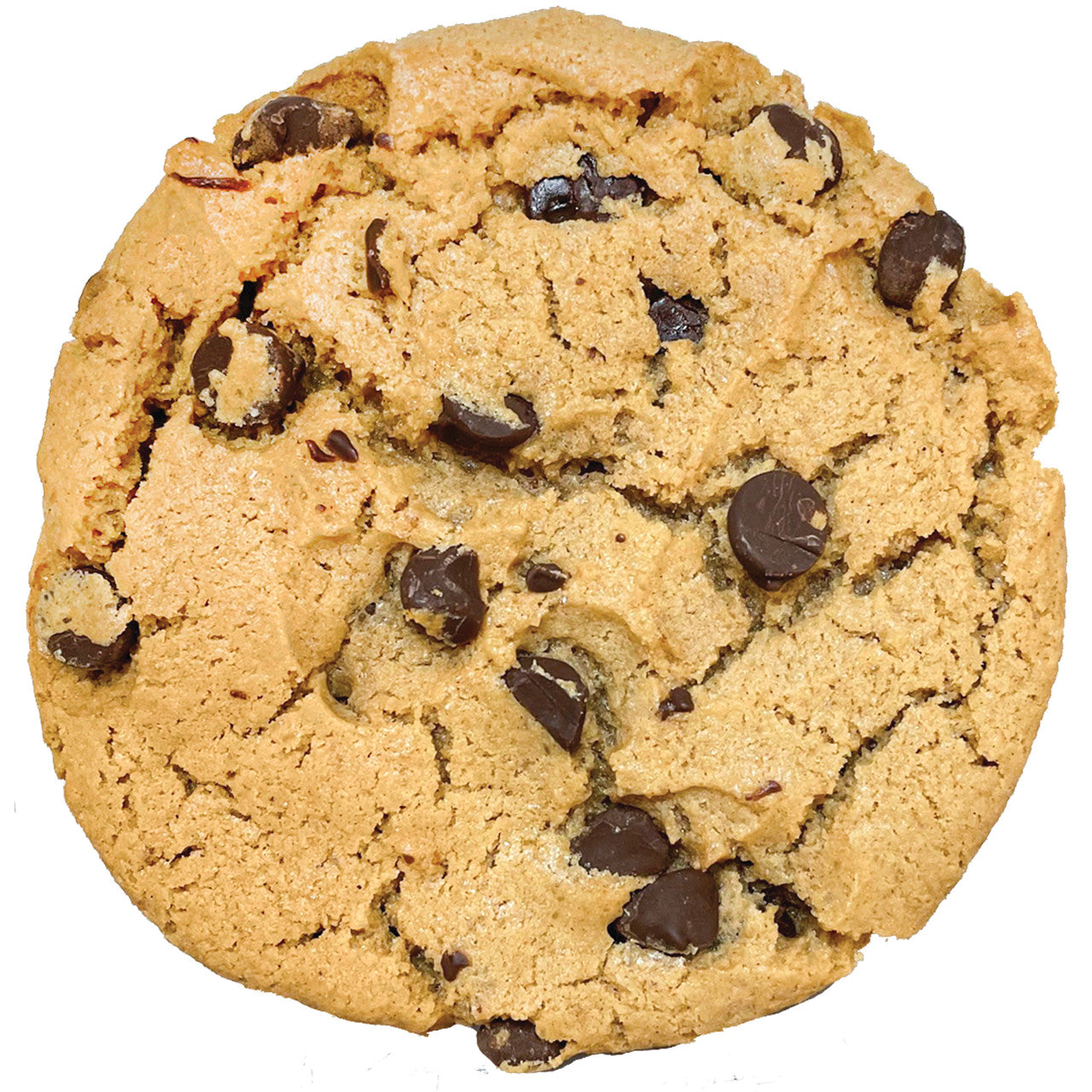 3oz Mint Chip Cookie