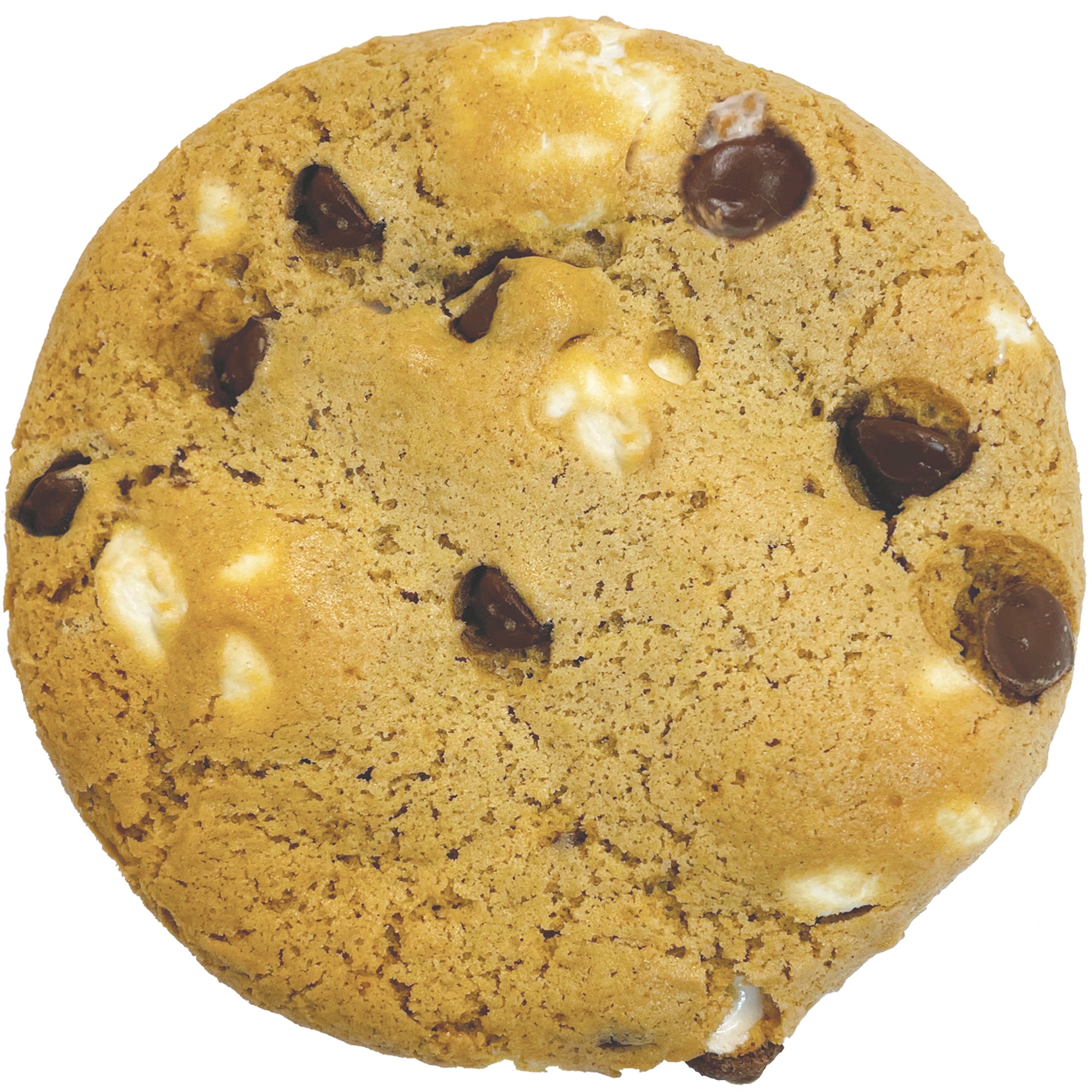 3oz S'mores Cookie