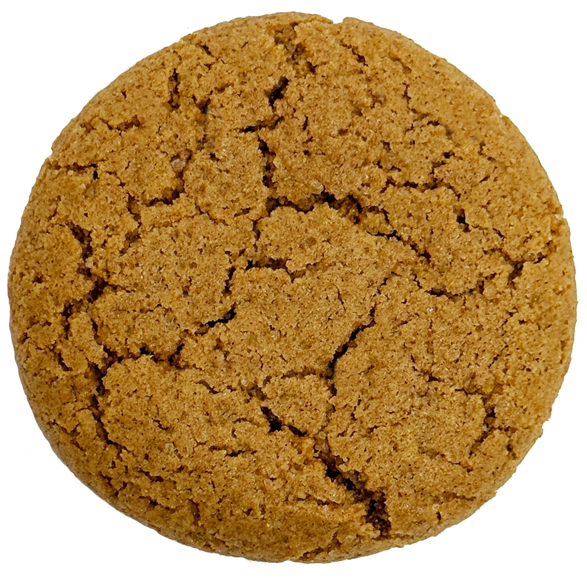 1oz & 3oz Snickerdoodle Cookie